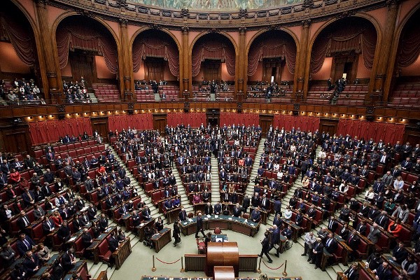 immagine allegata